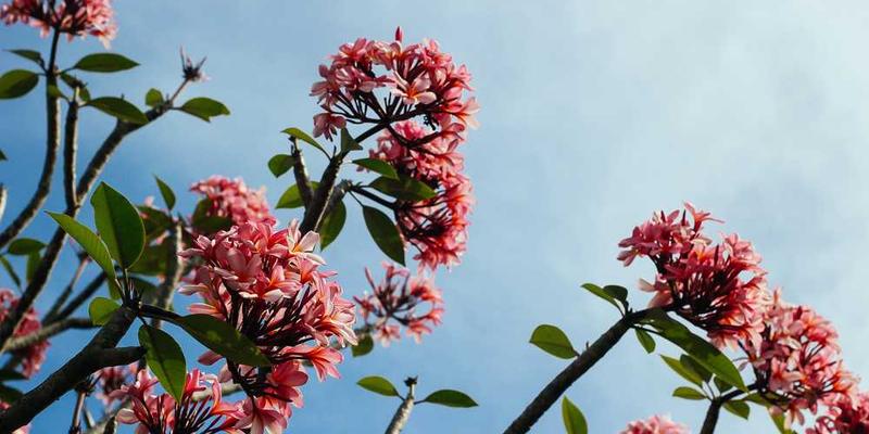 即将烧毁的灯泡，在黑暗中发出最后的微弱光芒