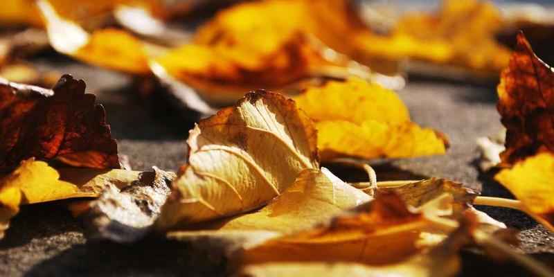 想象你的知识体系是一个星系，核心概念是恒星，次要概念是行星与卫星