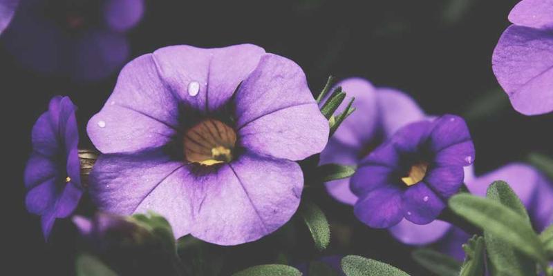 如果选择了另一人作为伴侣，家庭中会形成怎样一套新的玩笑黑话与禁忌？