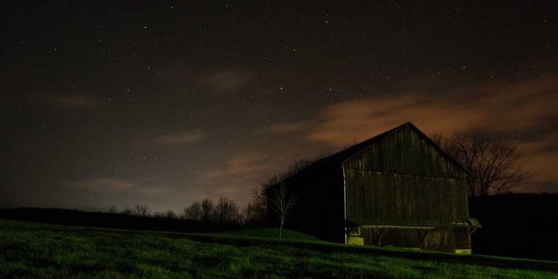 研究“深夜突然想吃某种食物”的冲动,其背后可能存在的玄学或生理学原理