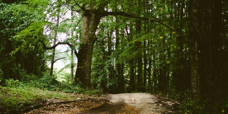 研究“睡眠”这片黑暗自治领，如何屡遭“失眠思潮”的叛乱与割据