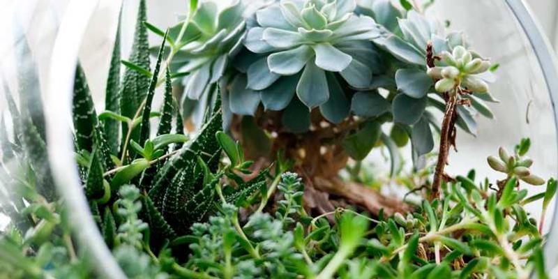 自动取款机在深夜空旷街道上的存在主义:吐出纸币是使命还是叹息?