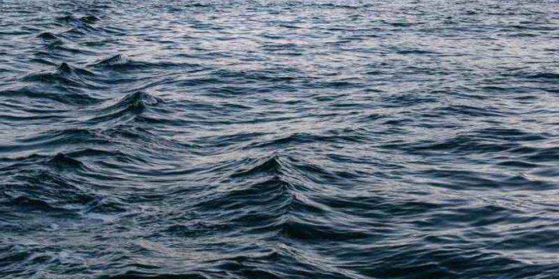 记录一个热门话题,在你的信息圈里从出现、发酵到湮灭的全周期