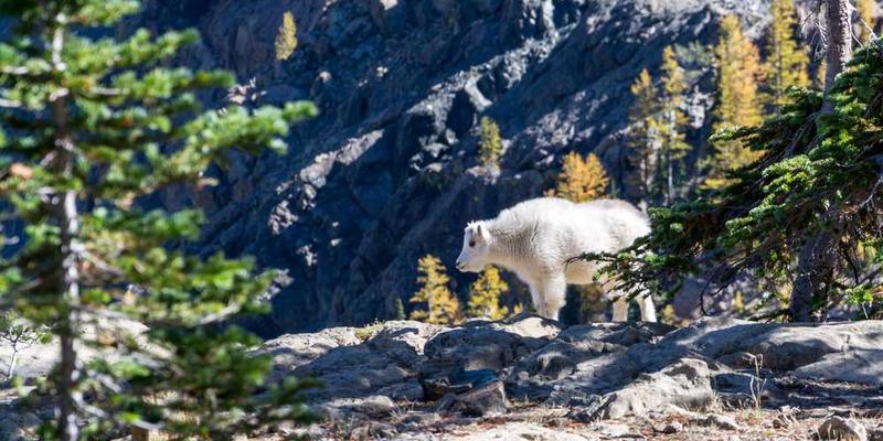 一位玩家在游戏中不慎掉入深渊，表情惊恐的截图。说明：玩家因操作失误，意外坠崖，成为游戏世界中的“飞行达人”。