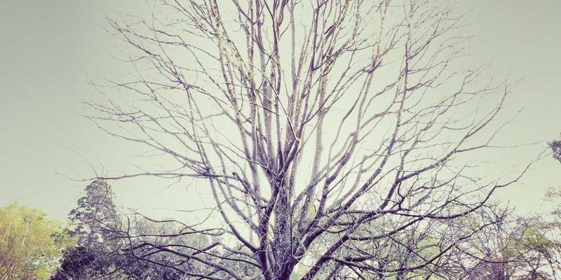 一位程序员在电脑前编写代码的场景，凸显技术探索的气氛