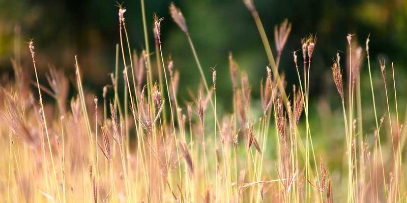一张展示现代书房的图片，背景中鹅卵石作为镇纸静静地躺在书桌上