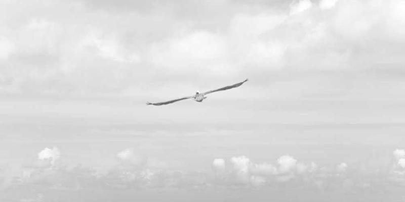 AI的“审美”进化史:从迷恋高对比度到偏好柔和噪点,像极了人类的视觉疲劳。