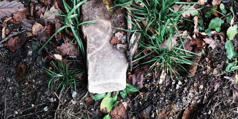 一张放大镜下观察沙粒的微观照片，说明：沙粒表面的纹路清晰可见，彰显出生命的坚韧与顽强。