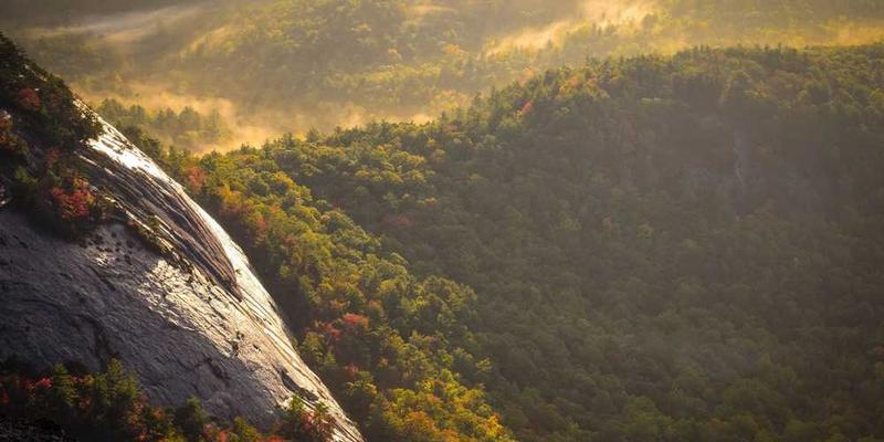 收集不同城市的空气滤芯灰尘,分析其颗粒物中的“集体呼吸祷文”