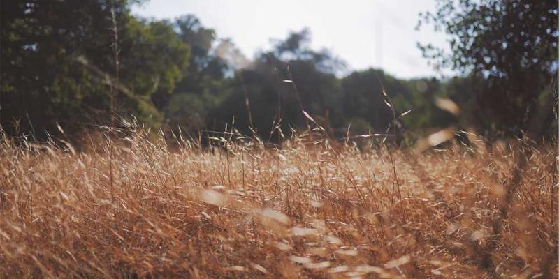 说明:一张展示时间管理工具或时间规划的图表,如时间追踪器、日程表等,旨在强调时间管理的重要性