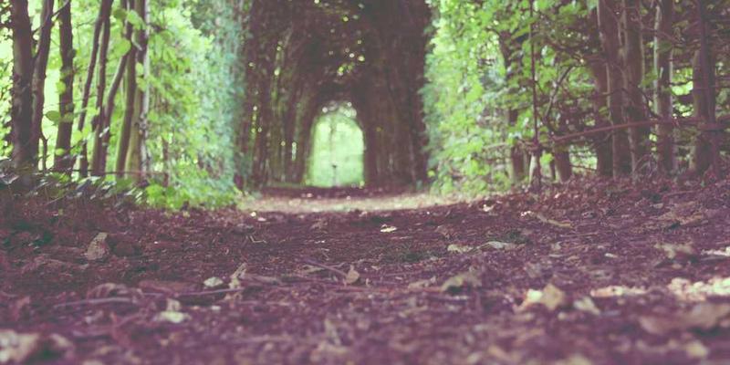 如果债务是预支的未来，那么焦虑是否就是预支的当下痛苦