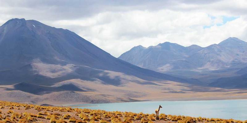 说明：一位主播坐在直播间，面对黑屏镜头，面带微笑，表情自然