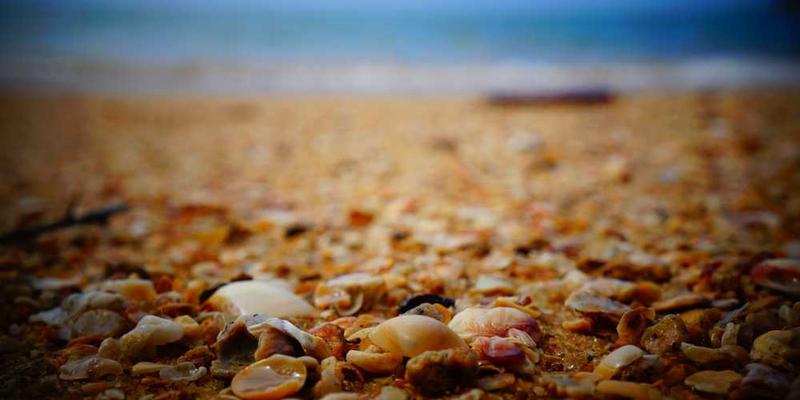 对比一封手写信与一封电子邮件，在“神经递质分泌水平”上的差异