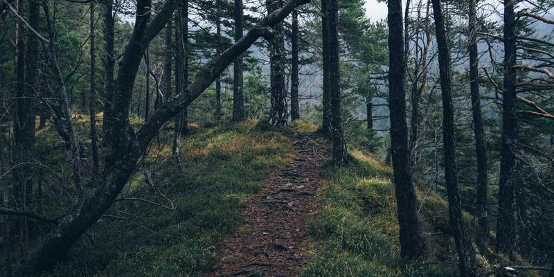 构想一种基于“注意力时长”而非货币的新型交易体系