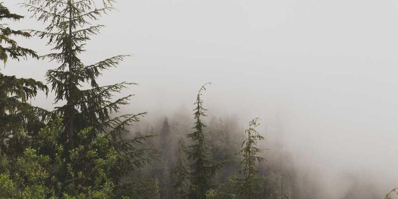 说明:展示一位年轻人在练习八段锦的场景,画面中人物动作规范,神态轻松,背景是开阔的公园。