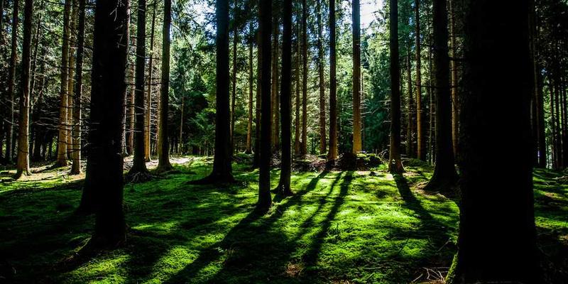 一位用户在使用新型“缴纳疏忽”服务,背景中展示着各种智能设备,如智能灯泡、智能门锁等