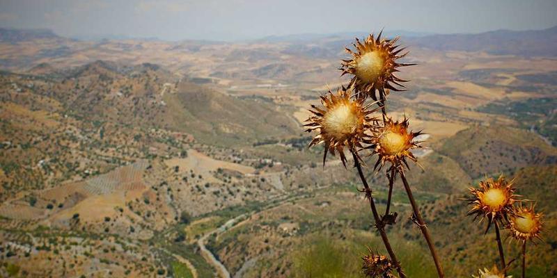 连续一周，每天故意“丢失”一件小物品，并享受寻找的过程