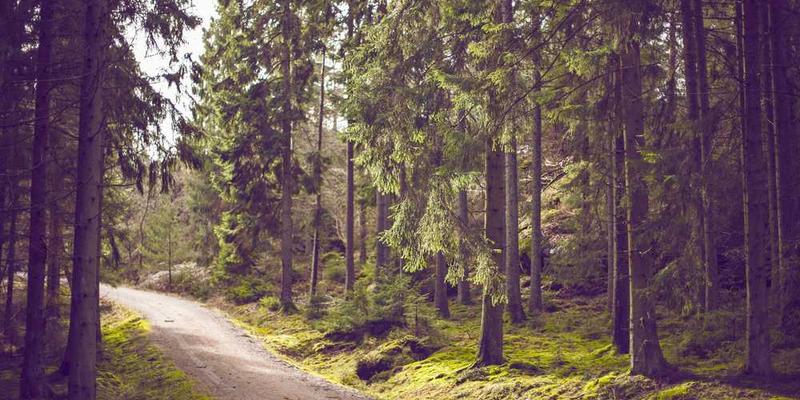 一位年轻人在舒适的卧室环境中，躺在床上阅读书籍，背景是柔和的灯光和安静的房间。图片寓意着通过优化睡眠环境，可以提升睡眠质量。