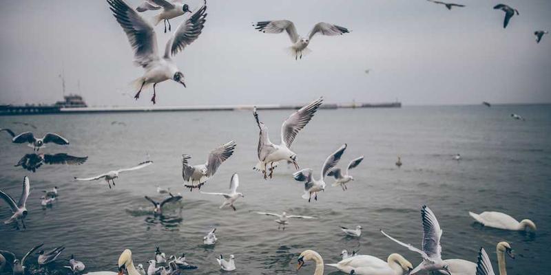 如何策划一场专属的“职业生涯中期颁奖礼”