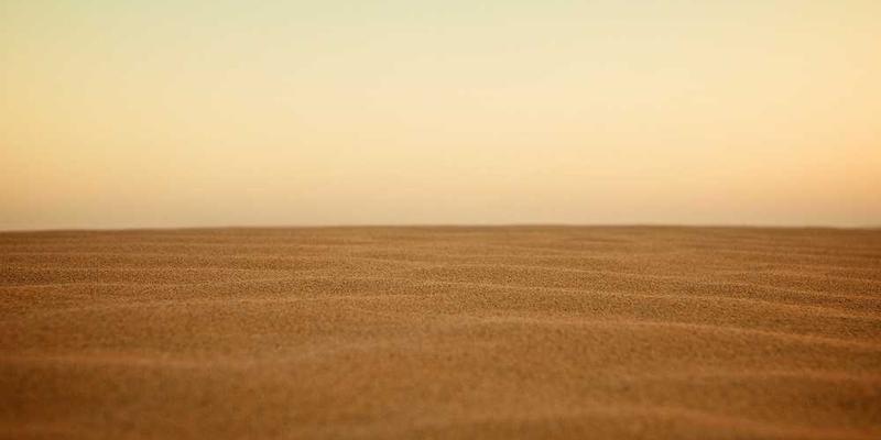 说明：一位年轻人正在整理电脑中的照片和文档，背景为温馨的家庭照片墙，象征数字遗产的传承与保存。