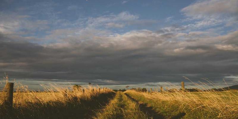 说明：修复完成后的水杯，虽经历了修补，但仍光鲜如新
