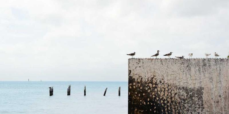 在废旧玩具中，寻找童年之神被遗弃后残存的、微弱的神力波动