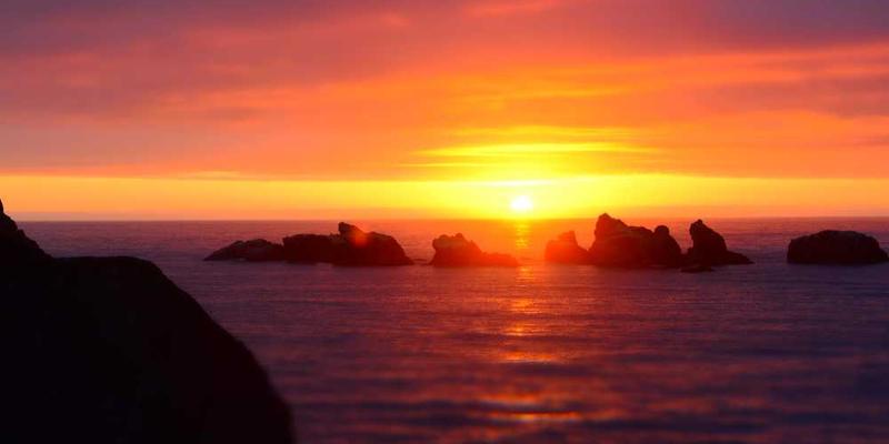 说明：一幅描绘哲学概念的藤蔓攀附在知识界的支架上的抽象画作，画面中藤蔓与支架交织在一起，象征着哲学概念的无限延展与生长。