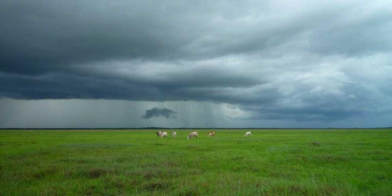 开发“心智防沉迷系统”,防止过度思考或过度快乐