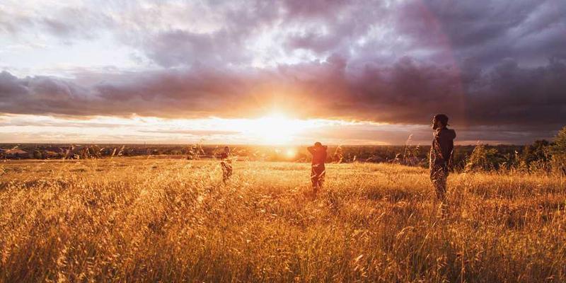 向度四:失败博物志(系统收藏并研究各类失败)