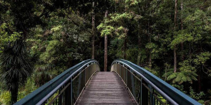 一位厨师在高级餐厅中，表情紧张地检查烤箱，背景是装饰华丽的餐厅和一群穿着正式的客人