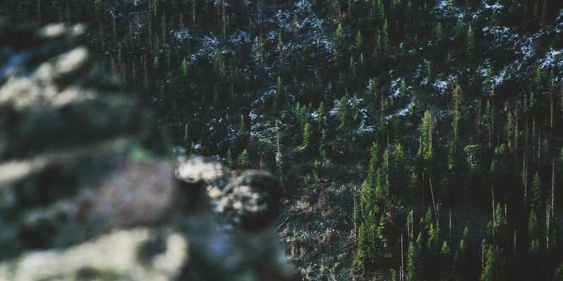 将一段漫长而痛苦的经历，压缩成一句“博物馆标签说明”