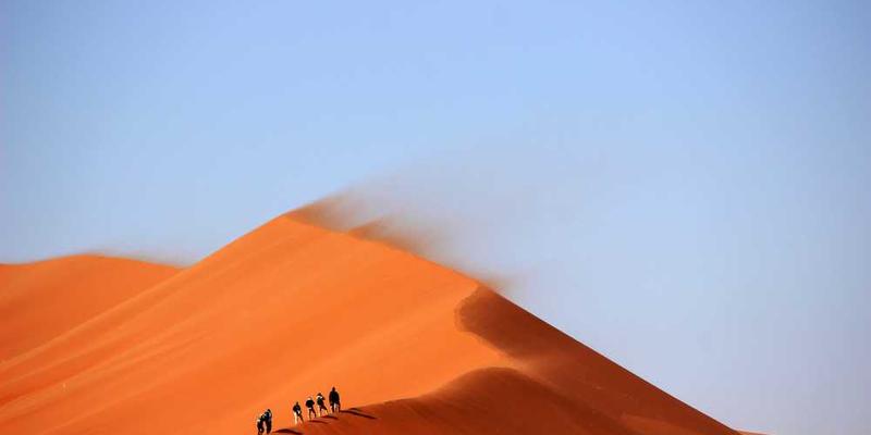 说明：一张展示蓝猫梗表情包的图片，图片中包含多个不同场景和表情的蓝猫表情包