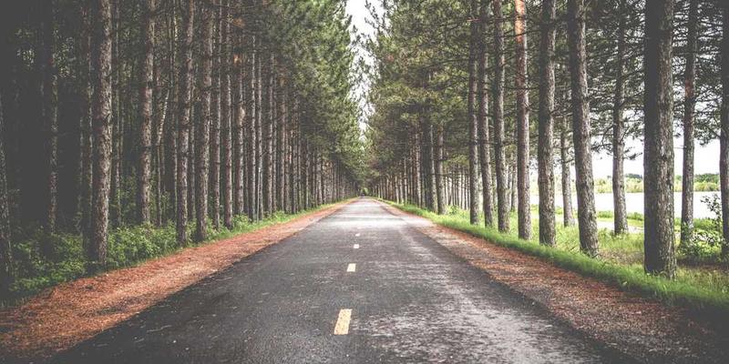 计算为了节省一点钱而花费的大量比价时间,其“时薪”是否低于我的价值