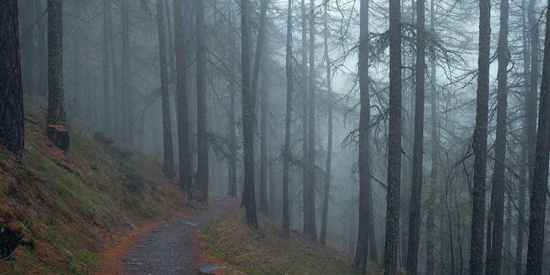 巴菲特午餐现场照片，展示投资者与巴菲特交流的场景，增加文章的生动性和直观性