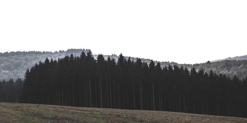 一组不同年代的自拍表情对比图,标题为“自拍表情变迁”