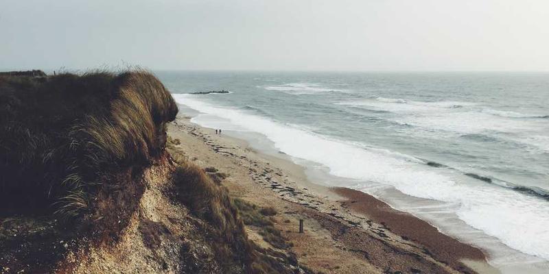 人体免疫系统图解,展示免疫细胞对抗病毒的过程