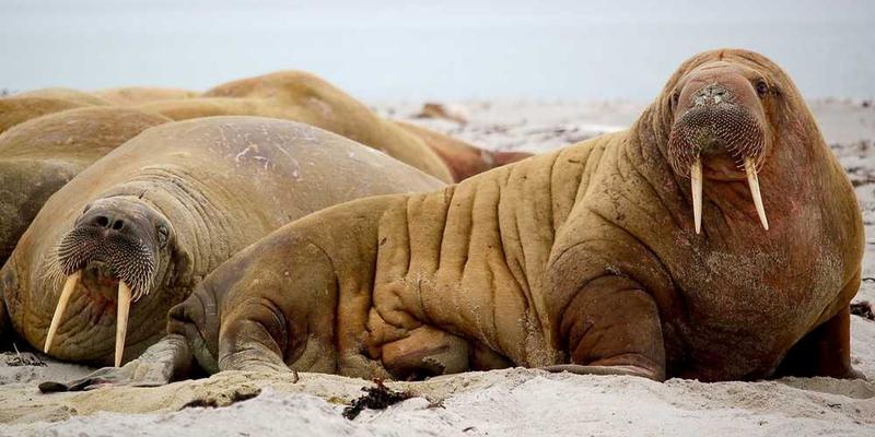 说明:一张网红店的室内照片,展示其独特的装修风格和吸引人的拍照场景