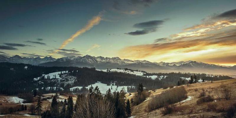 护眼行动指南:屏幕时代缓解视疲劳的实用方法