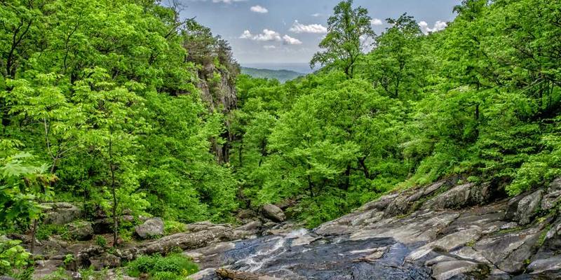一名AI心理咨询师在电脑屏幕前与客户对话，屏幕上展示着一份精心制作的日程表，背景是明亮的阳光和繁花似锦的公园，寓意着心灵的疗愈与成长。