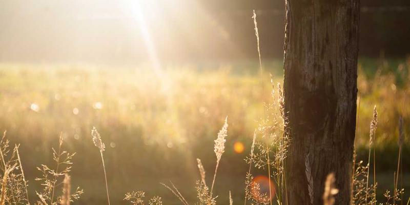 与镜子中的自己进行十分钟纯粹的眼神“对话”,不思考只观察