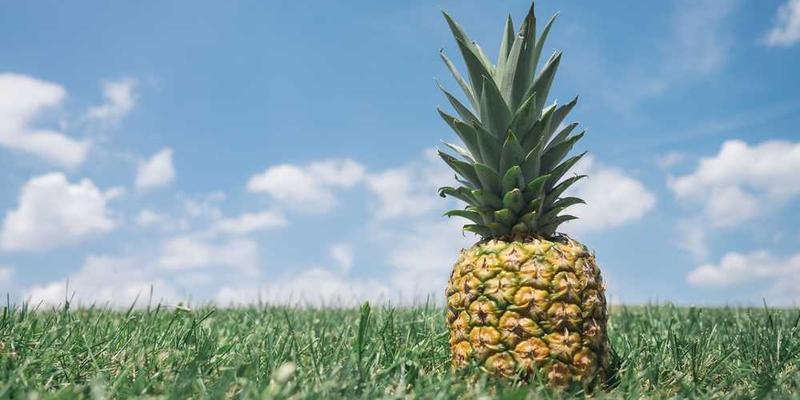 识别“情感倦怠”的10个信号，以及5个恢复步骤