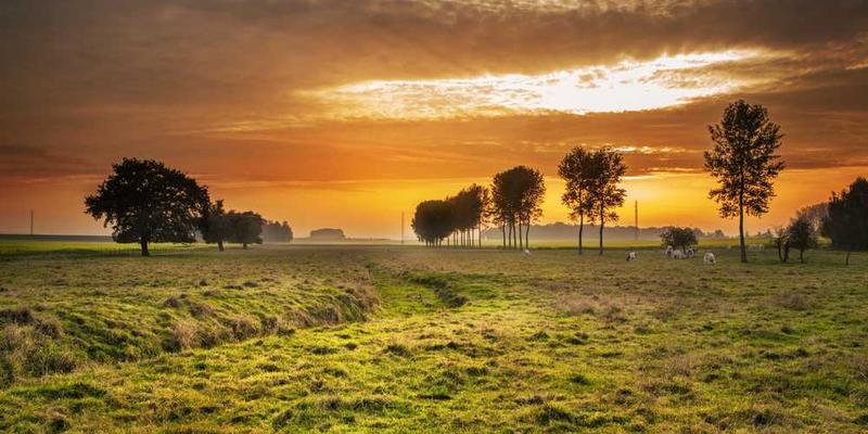 当AI的“创造力”被量化为指标后,它开始系统性地生产“安全的怪异”。