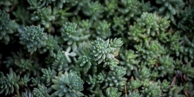 一位年轻投资者在虚拟投资游戏中分析新闻，图表和数据在屏幕上闪烁，背景是忙碌的金融市场模拟场景