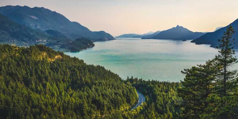 螺丝刀在生产线上的使用场景，说明：螺丝刀在生产线上的辛勤工作