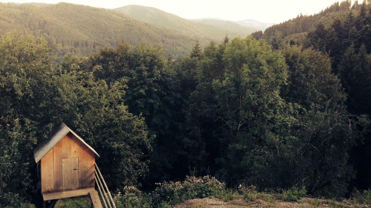 体育公益与慈善的虚伪面纱